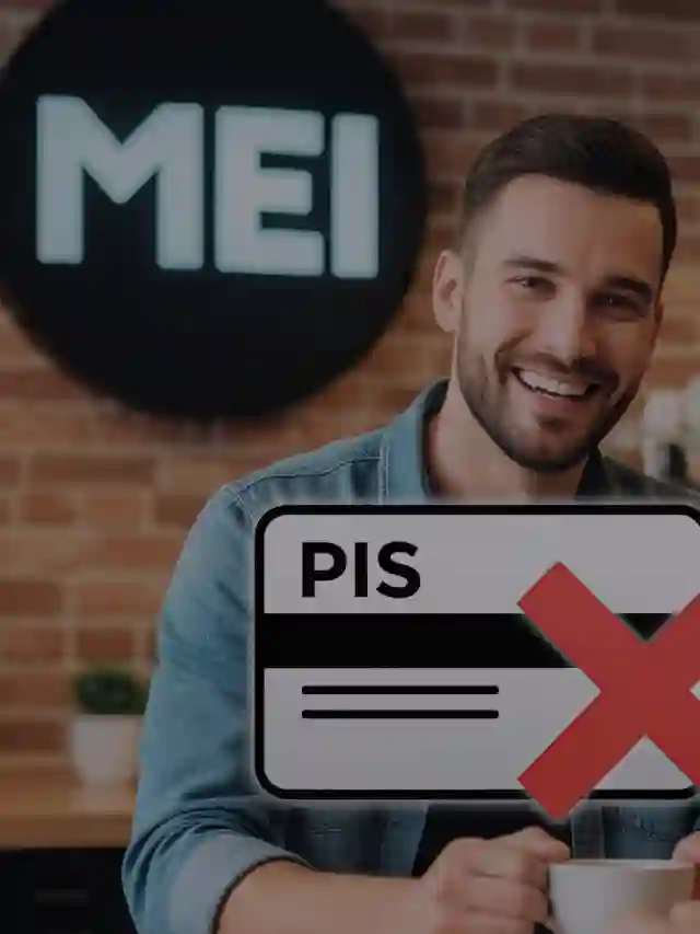 MEI Tem direito a PIS